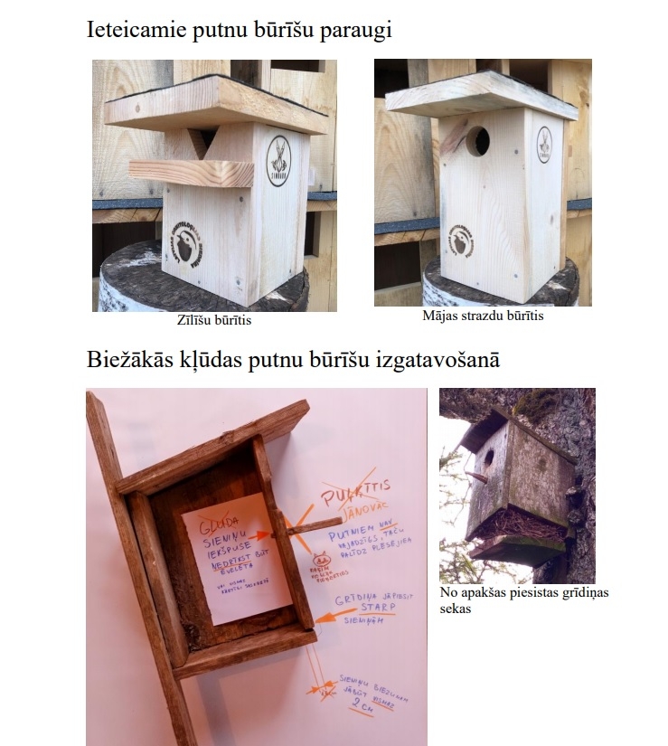 Putnu būru paraugi