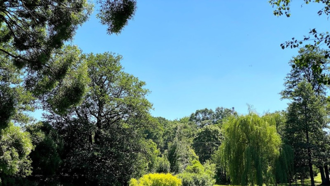 Arkādijas parks