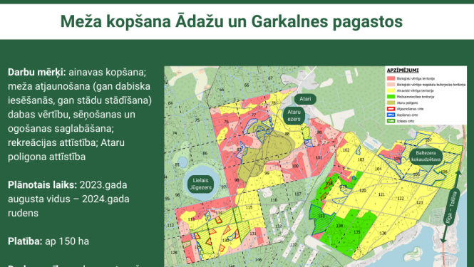Mežu kopšanas darbi