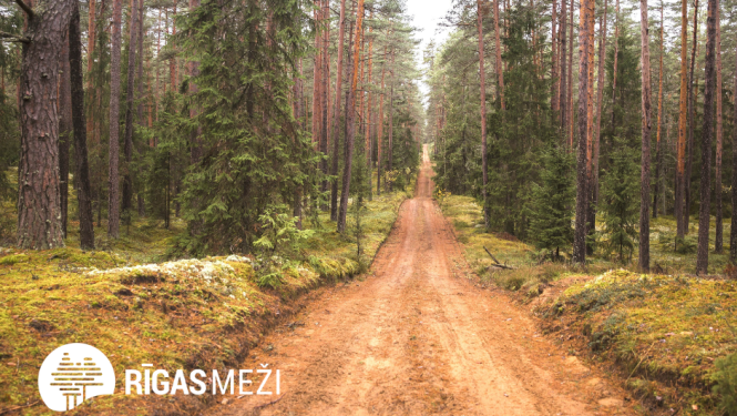 Rīgas mežu taka