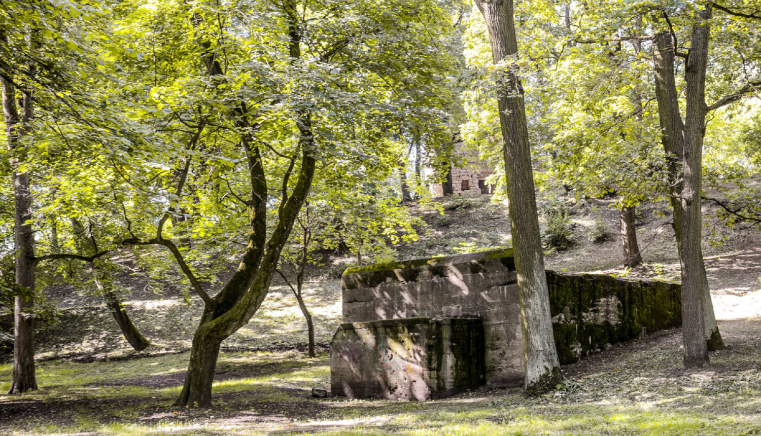 Aldara parks