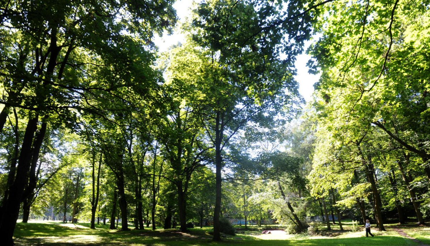 Aldara parks
