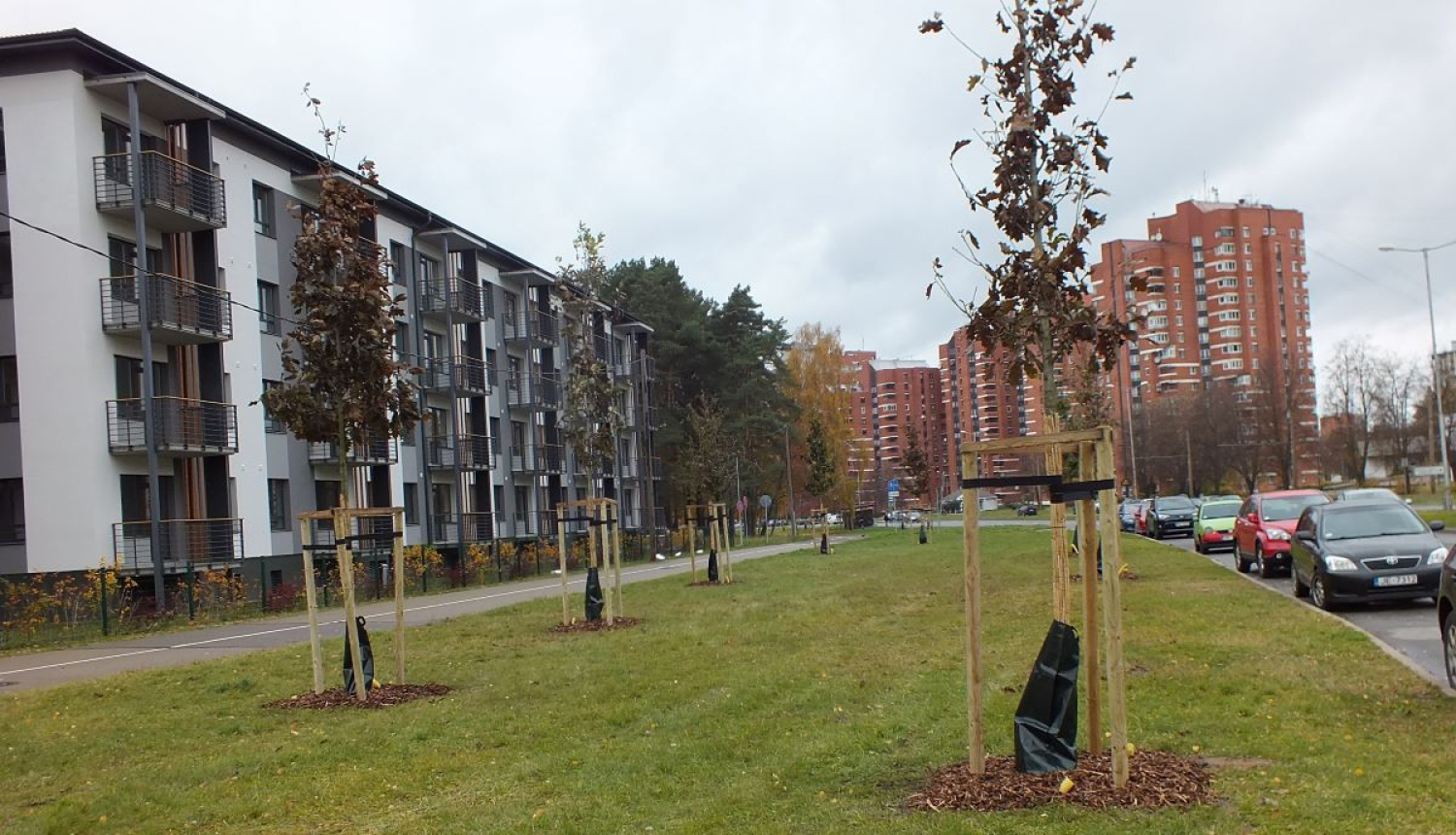 Sastādīti koki
