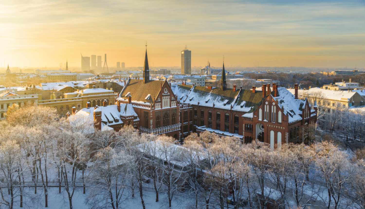 Ziemas skats
