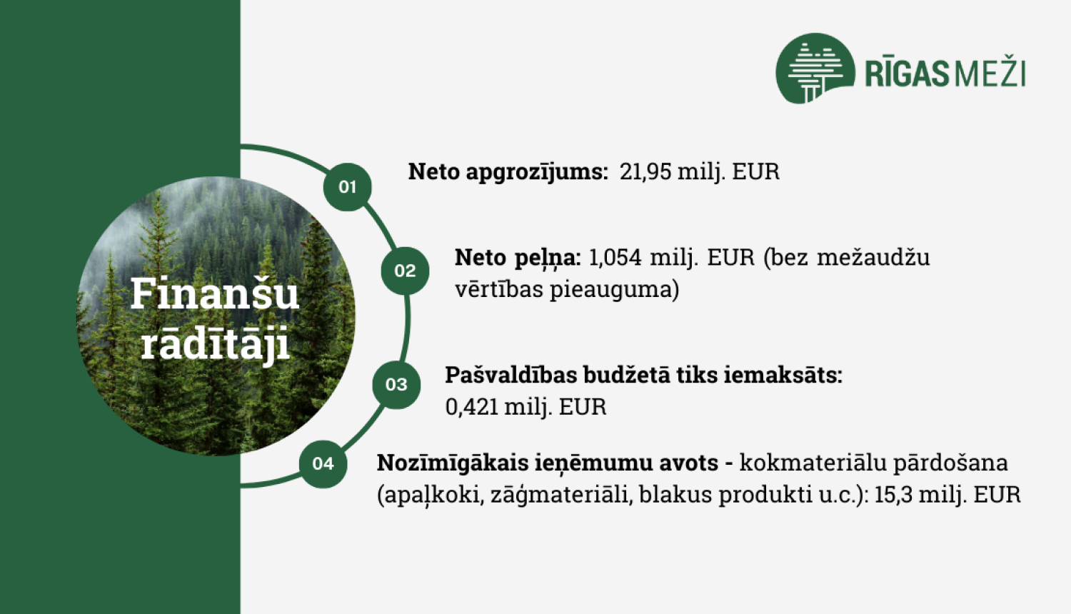 Gada pārskata dati
