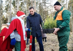 Stāda kociņus