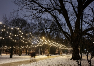 Vērmanes parks